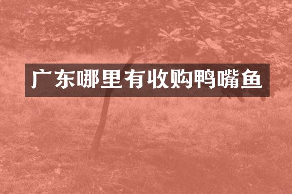 广东哪里有收购鸭嘴鱼