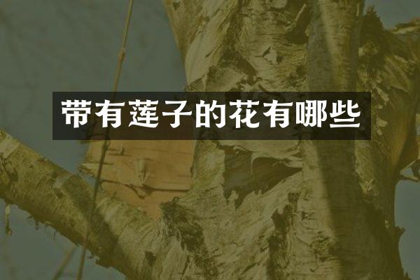 带有莲子的花有哪些