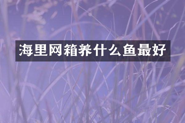 海里网箱养什么鱼最好