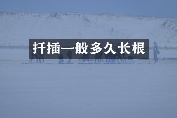 扦插一般多久长根