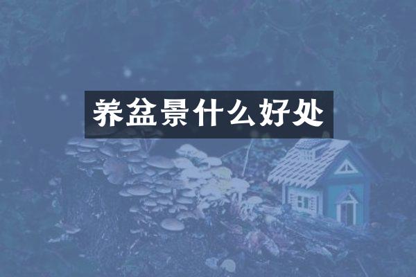 养盆景什么好处