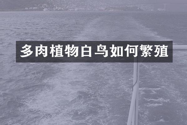 多肉植物白鸟如何繁殖