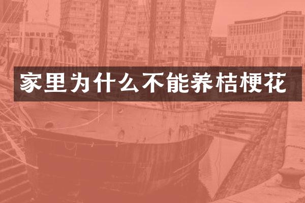 家里为什么不能养桔梗花