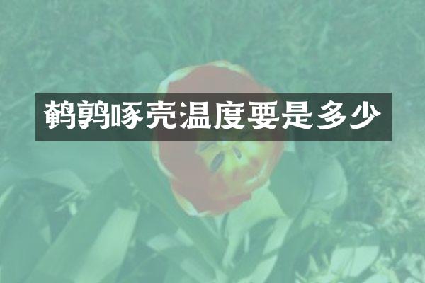 鹌鹑啄壳温度要是多少