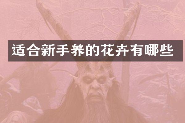 适合新手养的花卉有哪些