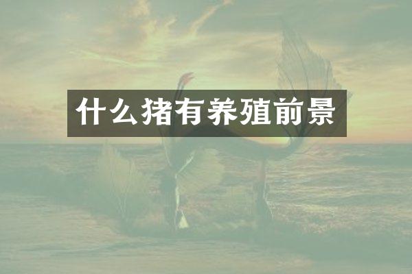 什么猪有养殖前景