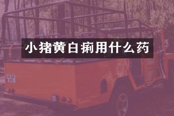 小猪黄白痢用什么药