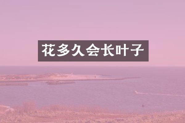 花多久会长叶子