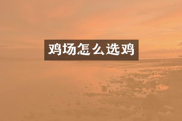 鸡场怎么选鸡