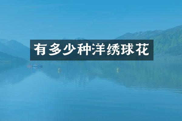 有多少种洋绣球花