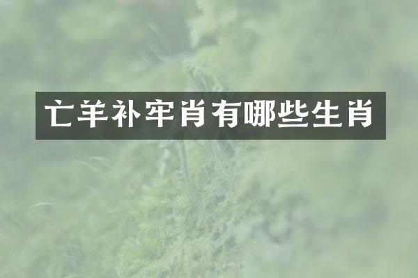 亡羊补牢肖有哪些生肖