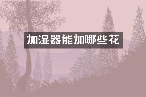 加湿器能加哪些花