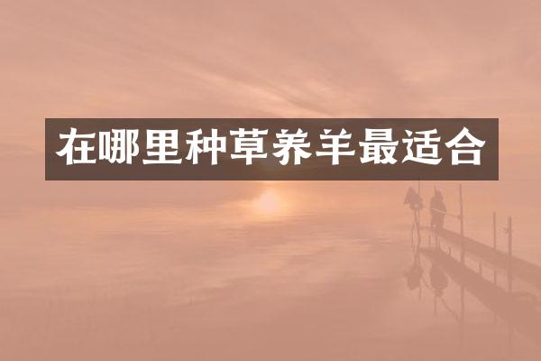 在哪里种草养羊最适合