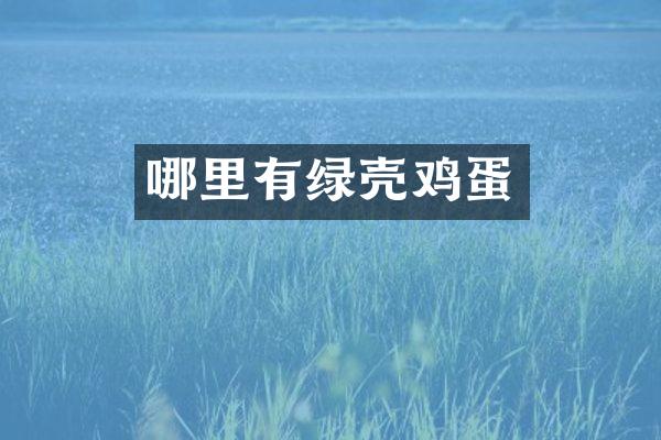 哪里有绿壳鸡蛋