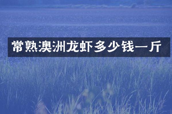 常熟澳洲龙虾多少钱一斤