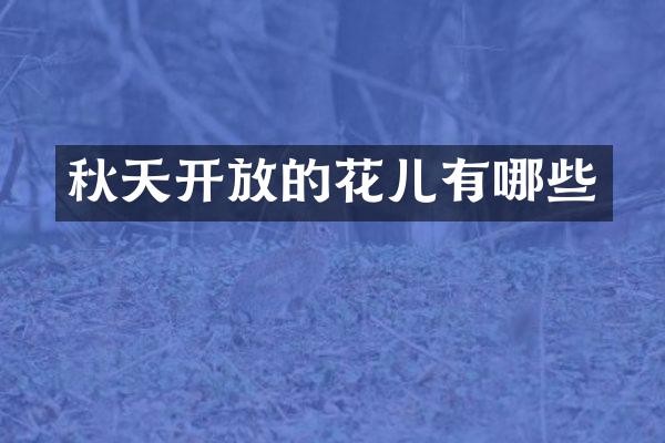 秋天开放的花儿有哪些