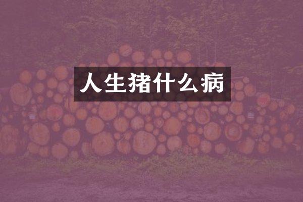 人生猪什么病