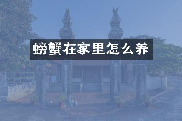 螃蟹在家里怎么养