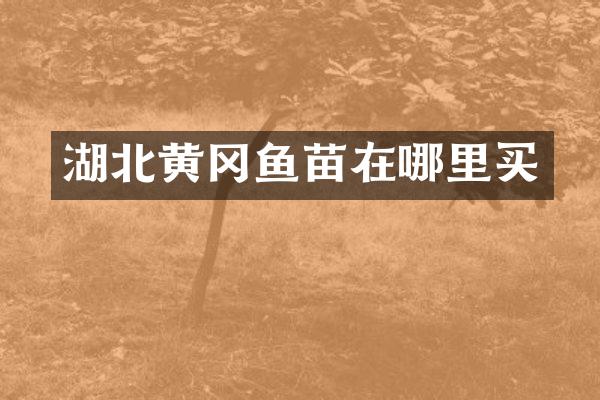 湖北黄冈鱼苗在哪里买