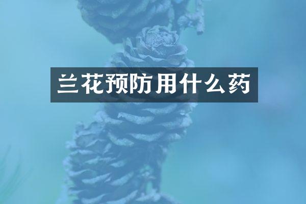 兰花预防用什么药