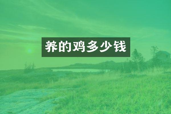 养的鸡多少钱