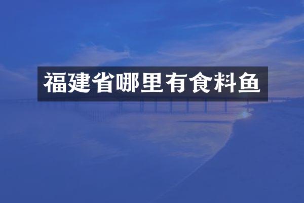 福建省哪里有食料鱼