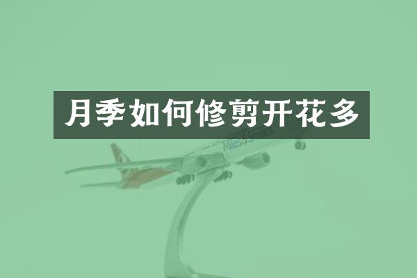月季如何修剪开花多