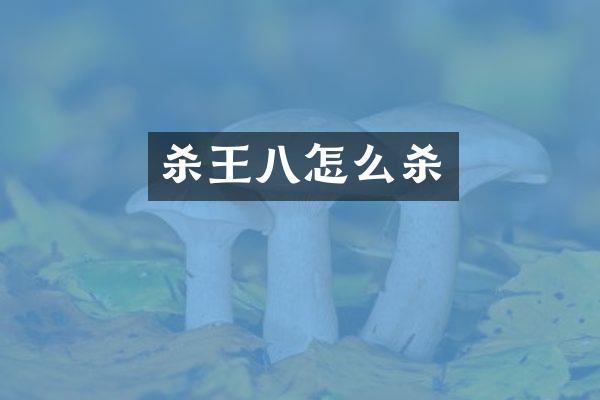 杀王八怎么杀
