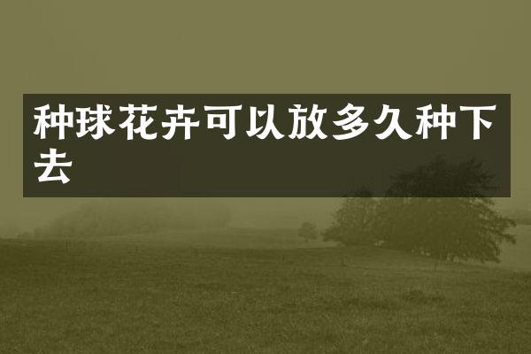 种球花卉可以放多久种下去