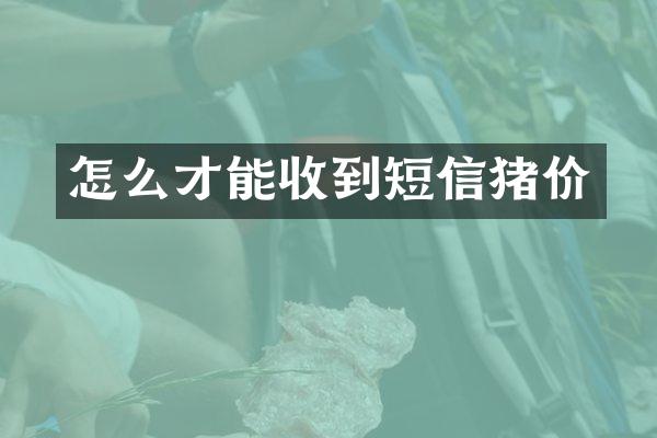 怎么才能收到短信猪价