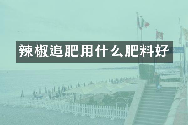 辣椒追肥用什么肥料好