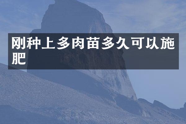 刚种上多肉苗多久可以施肥
