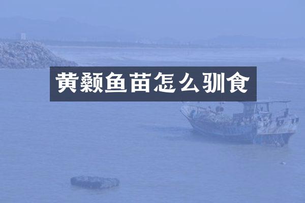 黄颡鱼苗怎么驯食