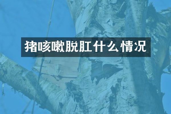 猪咳嗽脱肛什么情况