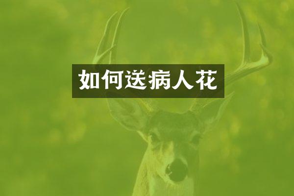 如何送病人花