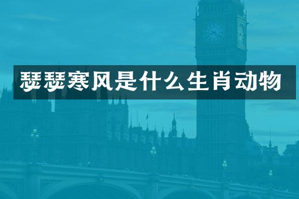 瑟瑟寒风是什么生肖动物