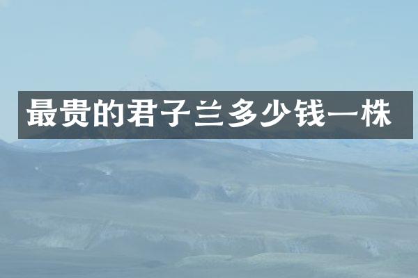 最贵的君子兰多少钱一株