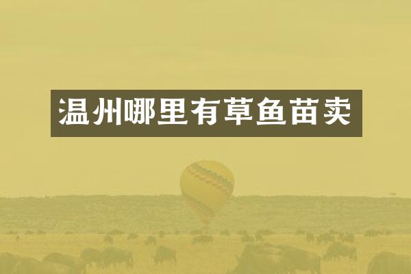 温州哪里有草鱼苗卖
