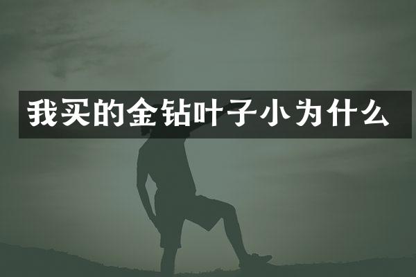 我买的金钻叶子小为什么