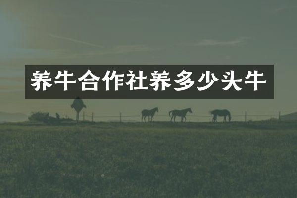 养牛合作社养多少头牛