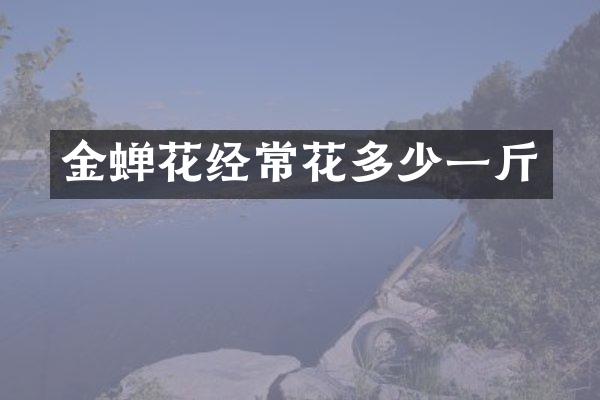 金蝉花经常花多少一斤