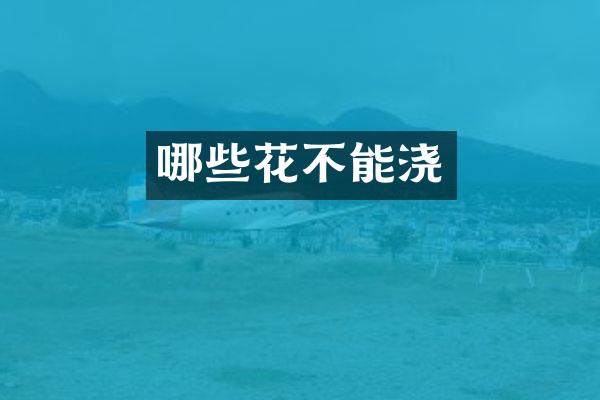 哪些花不能浇