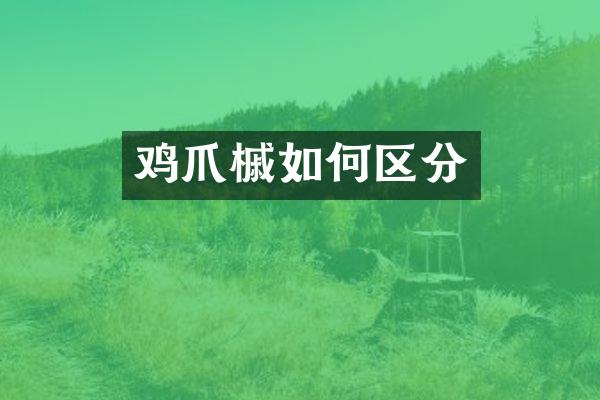 鸡爪槭如何区分