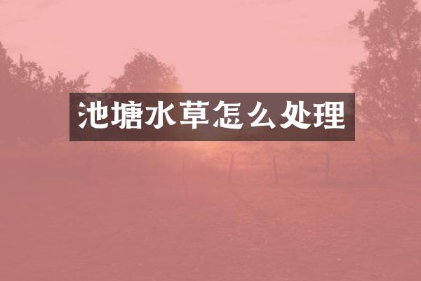 池塘水草怎么处理