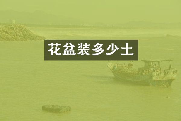 花盆装多少土