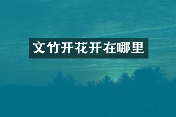 文竹开花开在哪里