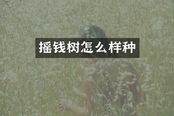 摇钱树怎么样种