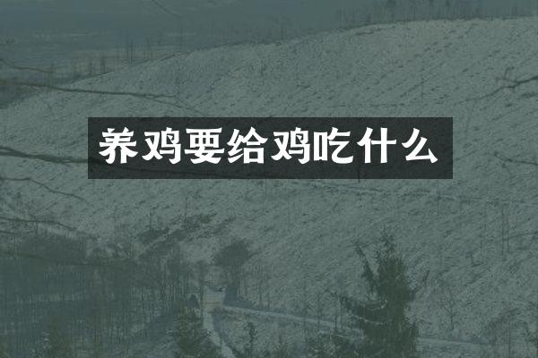 养鸡要给鸡吃什么