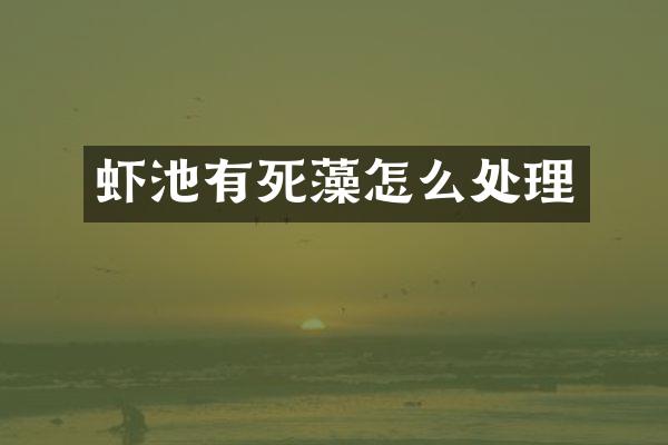虾池有死藻怎么处理