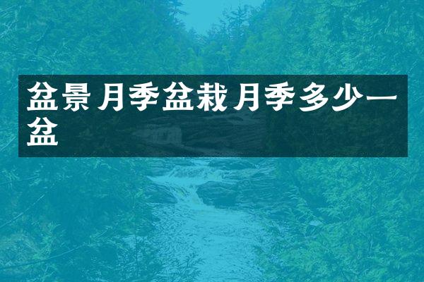 盆景月季盆栽月季多少一盆